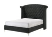Crown Mark Furniture Lucinda Queen Upholstered Panel Bed in Black B9265-Q image