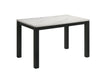 RESIA DINING TABLE image